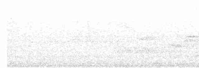 Icterine Warbler - ML619023292