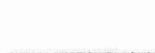 Шишкар ялиновий - ML619023316