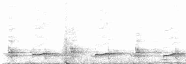Бурый саракура - ML619023508