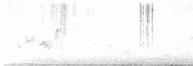 Ak Tepeli Baştankara - ML619023523