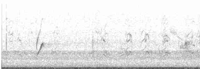 Pluvier de Swinhoe - ML619023782