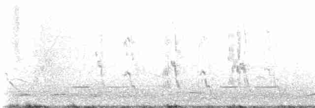 Kestane Kanatlı Tepeli Guguk - ML619023809