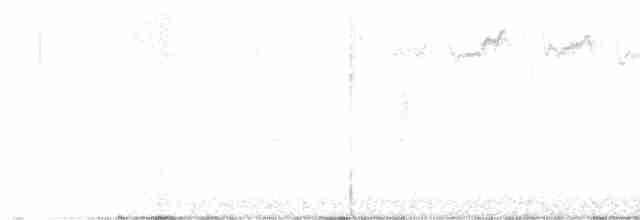 סבכון לבן-זנב - ML619023855