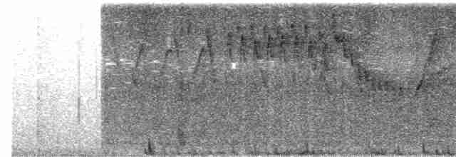 Tangara émeraude - ML619023939