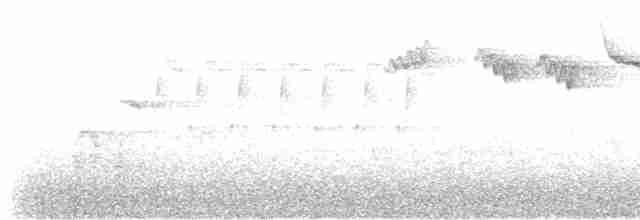 Grimpereau des bois - ML619024130