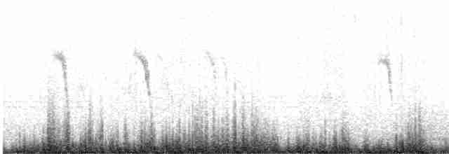 Lavandera Cetrina - ML619024375