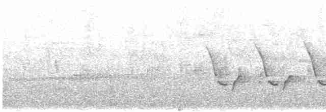 Каролинский крапивник - ML619024503