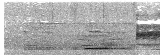 Grand Tinamou - ML619024509