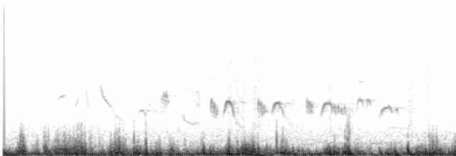 Варакушка (cyanecula/namnetum) - ML619024566