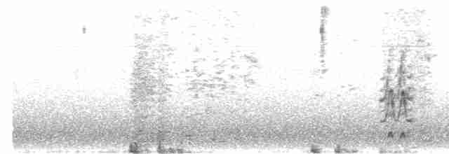 Чайка чубата - ML619024604