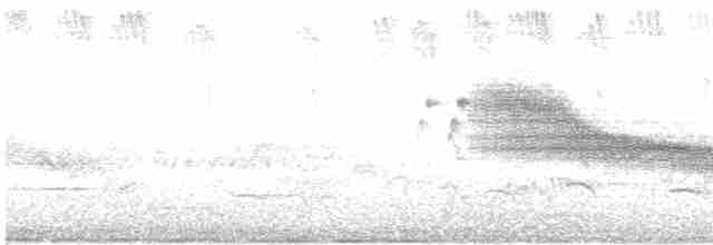 European Greenfinch - ML619024636