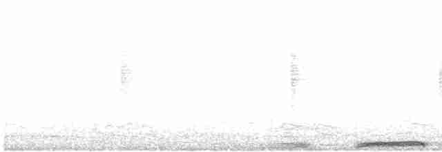 holub hřivnáč - ML619024722