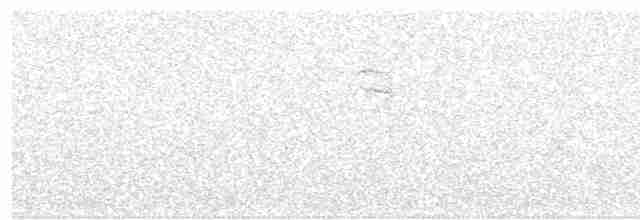 lejsek černohlavý - ML619024740