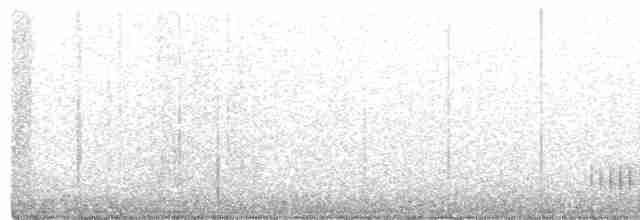 Geai de Steller (groupe stelleri) - ML619024756