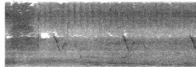 Серогрудый крапивник - ML619024765