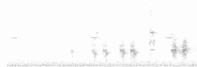 Great Reed Warbler - ML619024953