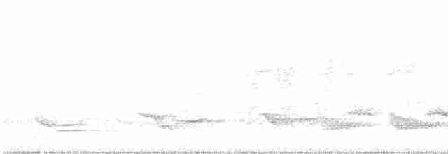 Бледногрудый дрозд - ML619024963