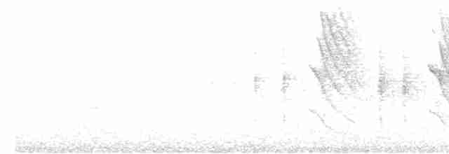 Sasi-txori horizta - ML619024988