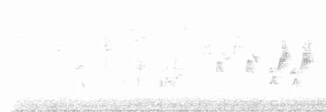 Приречная хвойница - ML619025247