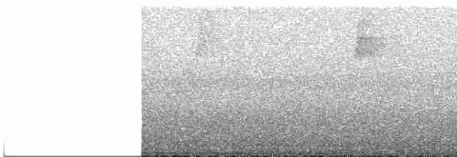 Каролинский крапивник - ML619025386