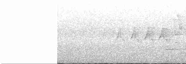 White-eyed Vireo - ML619025490