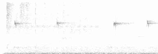 Светлобрюхий фиби - ML619025503