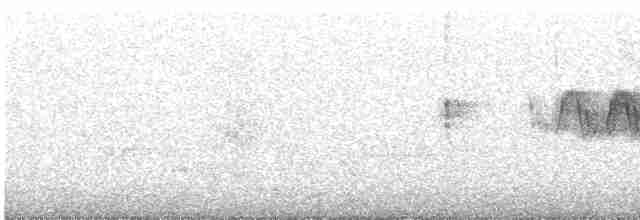 Cerulean Warbler - ML619025587