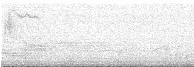Голубокрылая червеедка - ML619025615