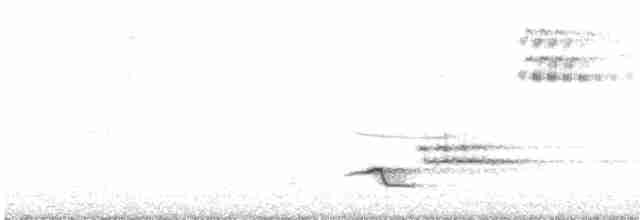 Connecticut Warbler - ML619025620