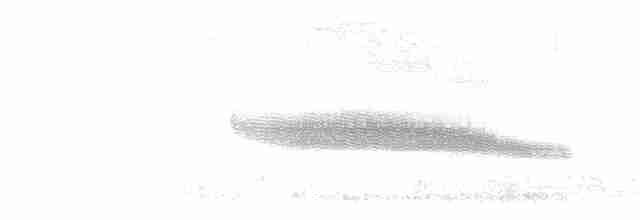 European Greenfinch - ML619025792