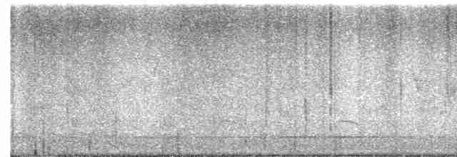 Черногорлая хвойница - ML619025843