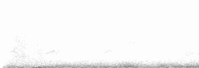 Дрізд-короткодзьоб бурий - ML619026412