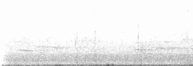 lesňáček modropláštíkový - ML619026420