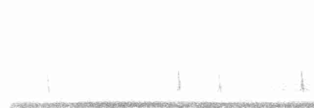 Дрізд-короткодзьоб плямистоволий - ML619027131