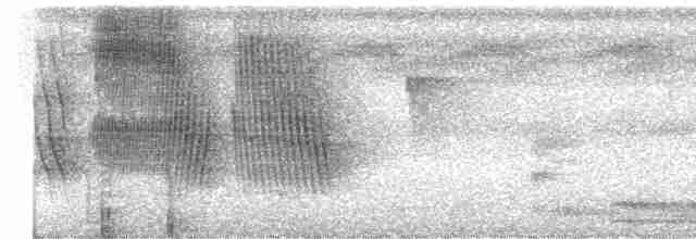 Kestane Karınlı Koca Tohumcul - ML619027273