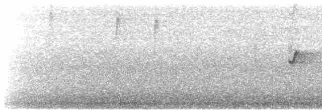 Черношапочная аруна - ML619027314