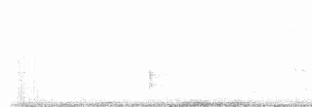 Münzevi Bülbül Ardıcı - ML619027543