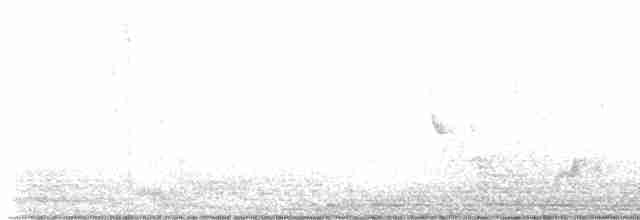 Червоїд рудогузий - ML619028210