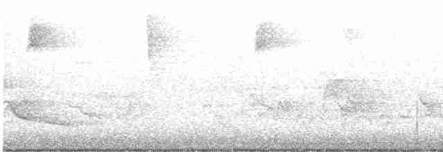Blackburnian Warbler - ML619028538