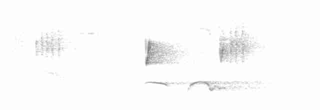 Gray-bellied Tesia - ML619029278
