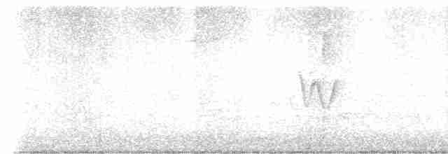 גבתאי ורוד-חזה - ML619029280