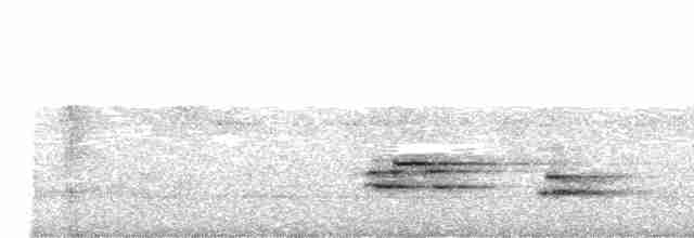 Kuzeyli Benekli Bülbül Ardıcı - ML619029502