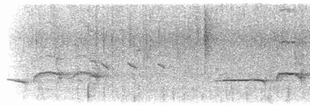 Тимелія-клинодзьоб світловола - ML619029521