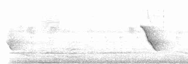 langhaleskredderfugl - ML619029610