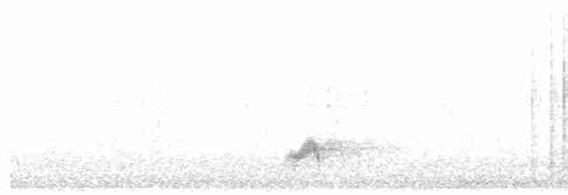 Nachtschwalbe - ML619029696