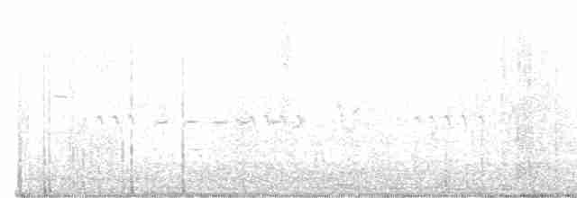 Paruline à gorge grise - ML619030044