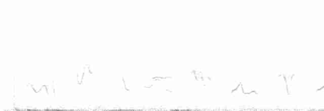 svarthodetykknebb - ML619030113