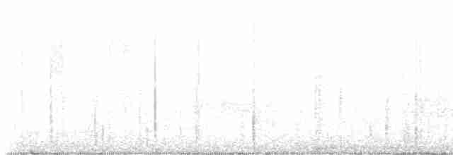 Kentucky Warbler - ML619030200