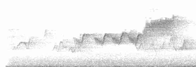 Cerulean Warbler - ML619030204