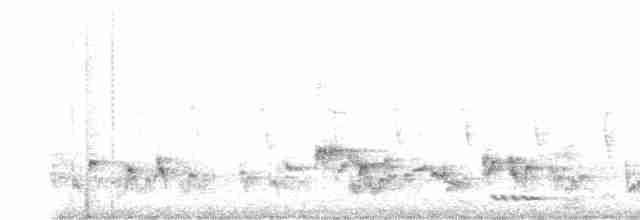 Streifenbrust-Erddrossling - ML619030376